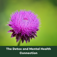 Blog Detox and Mental Health Website Banner
